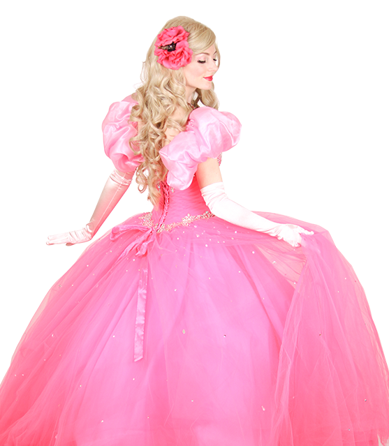 Pretty Pretty Hot Pink Princess Pretty Pretty Princess Characters