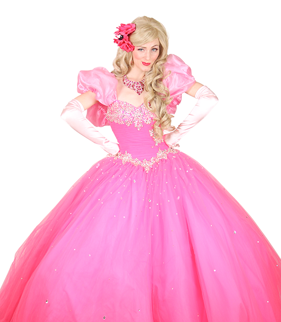 Pretty Pretty Hot Pink Princess | Pretty Pretty Princess Characters ...